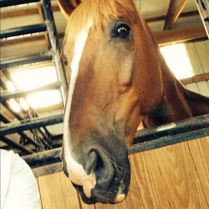 Meet your Posher, Carol